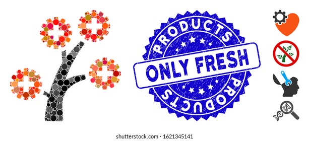 Mosaic medical technology tree icon and corroded stamp watermark with Products Only Fresh caption. Mosaic vector is composed with medical technology tree icon and with randomized round elements.
