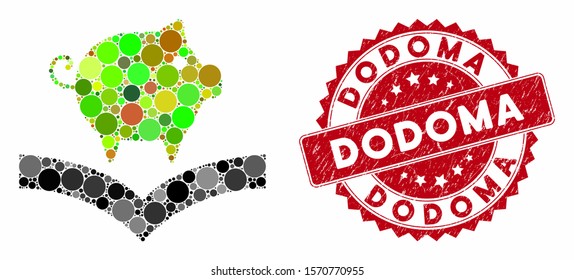 Mosaic pig knowledge and grunge stamp seal with Dodoma text. Mosaic vector is composed with pig knowledge icon and with randomized round items. Dodoma stamp seal uses red color, and grunged surface.