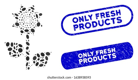 Mosaic sunflower plant and rubber stamp seals with Only Fresh Products phrase. Mosaic vector sunflower plant is created with scattered ellipse spots. Only Fresh Products stamp seals use blue color,