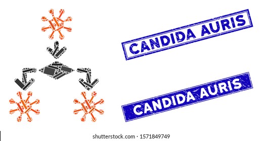 Mosaic virus reproduction icon and rectangle Candida Auris rubber prints. Flat vector virus reproduction mosaic icon of scattered rotated rectangle elements.