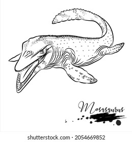 Mosasaurus, realistic sketch aquatic dinosaur, vector illustration