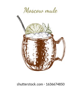 Moscow Mule Hand Drawn Drink Vector Illustration