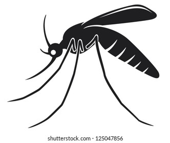 Mosquito