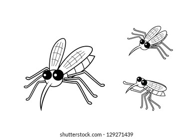 mosquito