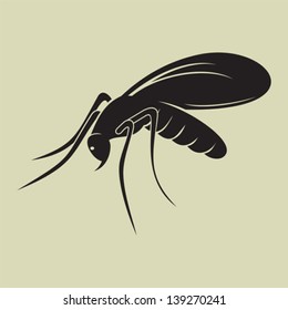 Mosquito