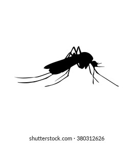 mosquito