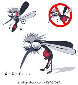 mosquito