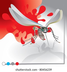 Mosquito angry