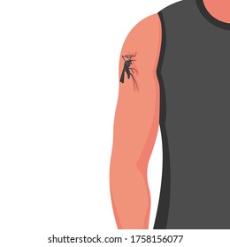 Mosquito Bite On Skin Hand Human. Insect Bites Man In Arm. Template Dangers Zika Virus. Drinks The Blood. Bloodsucking Pest. Vector Illustration Flat Design. Isolated On Background. Malaria Epidemic.
