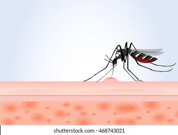 Mosquito Bite On White Background Vector Design.