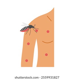 Mosquito biting human skin with red rash spots. Represents mosquito-borne diseases like dengue, malaria, or Zika virus, causing skin irritation and health risks. Vector illustration
