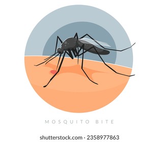 Mosquito biting on Human Skin - Stock Illustration as EPS 10 File