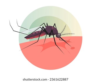 Mosquito biting on Human Skin - Stock Illustration as EPS 10 File