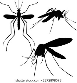 Mosquito black icon set. Insect silhouettes