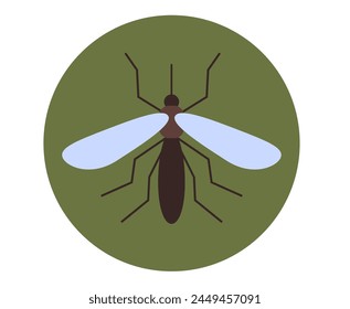 Mosquito bug insect gnat isolated concept. Vector flat graphic design cartoon illustration