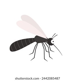 Mosquito cartoon. mosquito vector on white background. Mosquito on skin body.