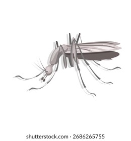 Close de mosquito, isolado em um fundo branco. Ilustração vetorial de um inseto.