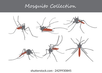 Colección Mosquito. Ilustración vectorial aislada sobre fondo blanco.