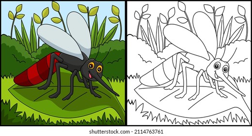 Mosquito Coloring Page Vector Illustration