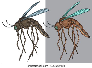 Mosquito comic mascot. Vector illustration of mosquito insect in cartoon style. Good for logos, t-shirt prints, posters, stickers.