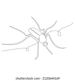 mosquito contour one line sketch vector