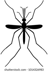 Mosquito detailed black vector