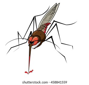 Mosquito drinking blood