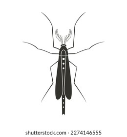 Mosquito with fantasy pattern. Geometric Insect icon. Decorative ornate vector illustration.