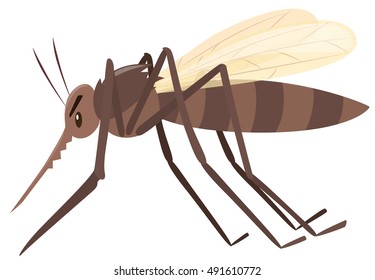 Mosquito flying on white background illustration