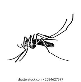 Mosquito, gnat, midge, anopheles. illustration vector. Target on mosquito. Mosquitoes carry many disease such as dengue fever, zika disease,enchaphalitits and else.