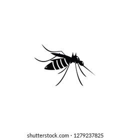 Mosquito graphic design template