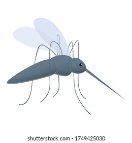 Mosquito icon. Cartoon of mosquito vector icon for web design isolated on white background