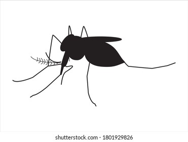 Mosquito icon on white background