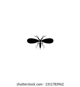 mosquito icon vector