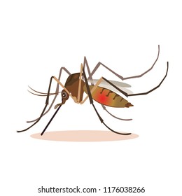 Mosquito icon vector. Realistic Mosquito on white background vector design.