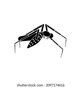 mosquito icon, mosquito vector sign symbol of insect