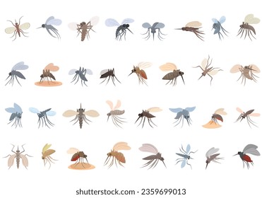 Iconos de mosquito configuran el vector de dibujos animados. Insulto de vuelo. Bicho de pulverización