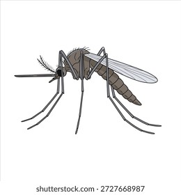 Um projeto de arte vetorial de ilustração de mosquito
