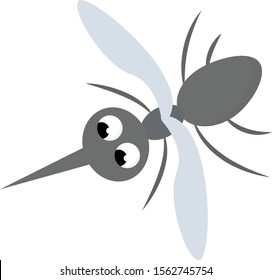 Mosquito illustration vector on white background.