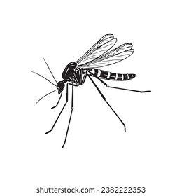 Mosquito Image Vector, Icon, Logo