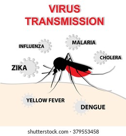 A Mosquito Infects A Person Dangerous Viruses: Malaria, Dengue, Cholera, Zika, Influenza, Yellow Fever