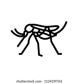mosquito insect line icon vector. mosquito insect sign. isolated contour symbol black illustration