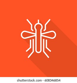 mosquito insect line vector icon