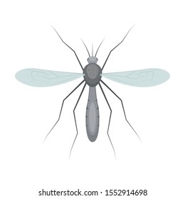 Mosquito insect vector design illustration isolated on white background