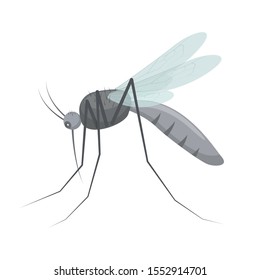 Mosquito insect vector design illustration isolated on white background