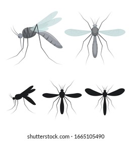 Mosquito insect vector design illustration isolated on white background