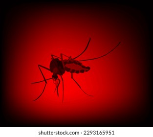 Mosquito insects vector illustration, Aedes Dengue mosquitos isolated, 