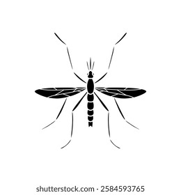 Mosquito isolated on white background. Black and white illustration.