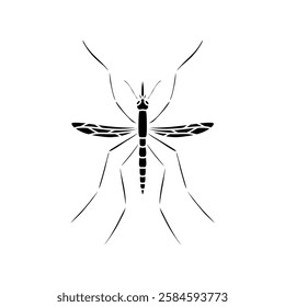 Mosquito isolated on white background. Black and white illustration.
