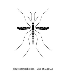 Mosquito isolated on white background. Black and white illustration.